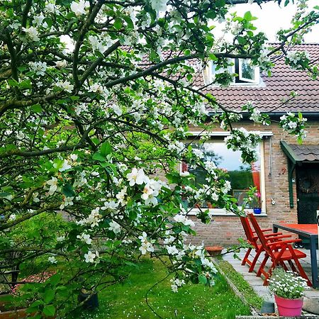 Huisjeaandedinkel Overdinkel Exteriör bild